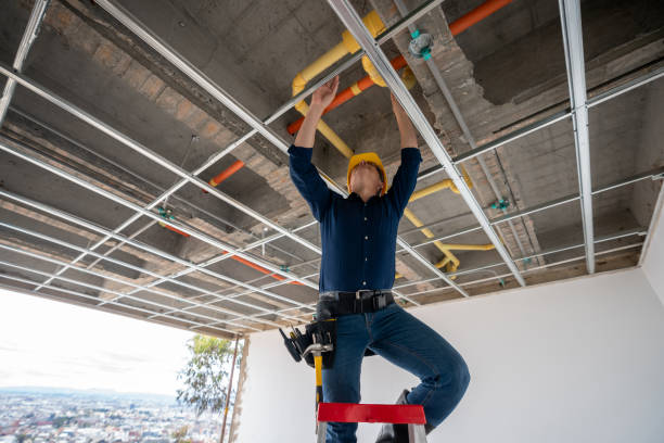Best Plumbing Inspection Services  in Bellevue, IA