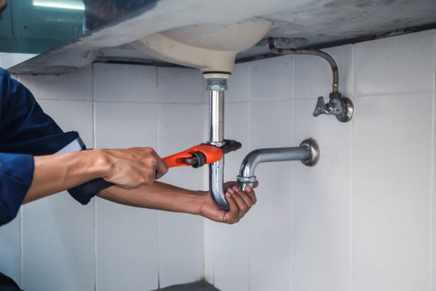 Best Clogged Drain Plumber  in Bellevue, IA