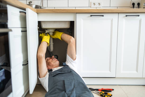 Best Plumbing Repair Near Me  in Bellevue, IA
